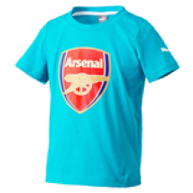 T-shirt Arsenal 2015-2016 Puma Crest Fan da bambino