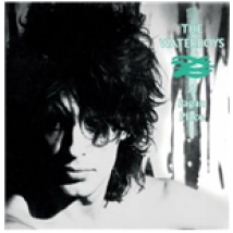 Vinyle Waterboys (The) - Pagan Place