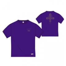 T-shirt Passeggio Fiorentina. Stagione 2014/15