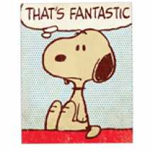 Snoopy - That's Fantastic (Magnete Metallo)