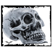 Accessoire maison Queen of Darkness 148987