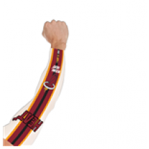 Accessoire Miami Heat  150012