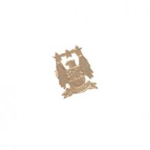 Anello Manchester City 150279