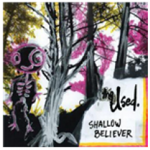Vinyle Used - Shallow Believer
