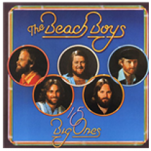 Vinyle Beach Boys (The) - 15 Big Ones