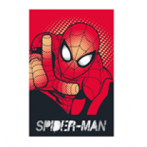 Couverture Plaid Spider-Man