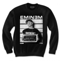 Sweatshirt Eminem: Arrest