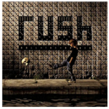 Vinyle Rush - Roll The Bones