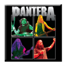 Magnet Pantera  190770