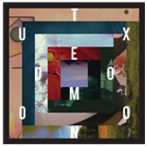 Vinyle Tuxedomoon - Box (10 Lp)