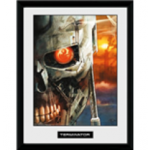 Poster Terminator 198869