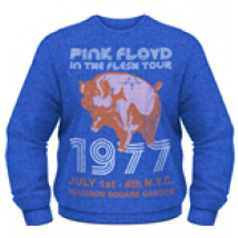 Sweat shirt Pink Floyd 205408