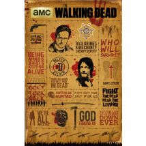 Poster The Walking Dead Infographic