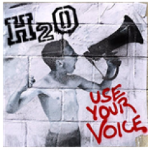 Vinyle H2o - Use Your Voice