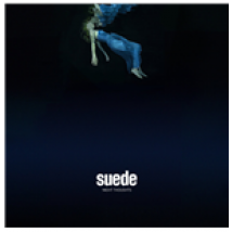 Vinyle Suede - Night Thoughts (2 Lp)