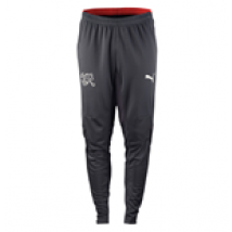 Pantalon d'Entraînement Suisse Puma 2016-2017 (Noir)