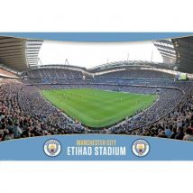 Poster Manchester City 220437