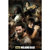 Poster The Walking Dead 225257