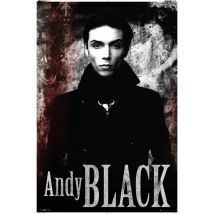 Poster Andy Black 227284