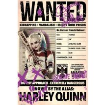 Poster Suicide Squad Harley Wanted