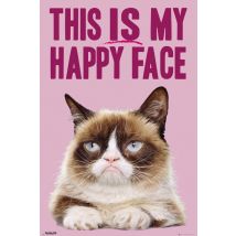 Poster Grumpy Cat Happy Face