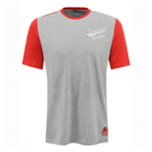 T-shirt Écosse rugby 2016-2017 (Gris)