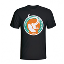 T-shirt Côte-d'Ivoire Football (Noir)