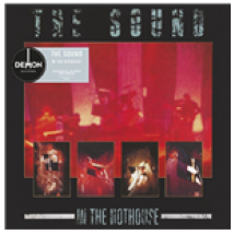 Vinyle Sound (The) - In The Hothouse (2 Lp)