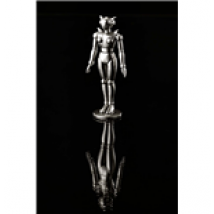 Figurine Absolute Chogokin 237050