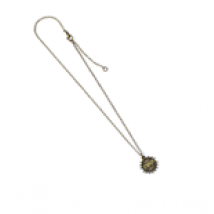 Les Animaux fantastiques pendentif et collier Stupefy