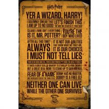 Poster Harry Potter Quotes 263