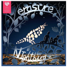 Vinyle Erasure - Nightbird