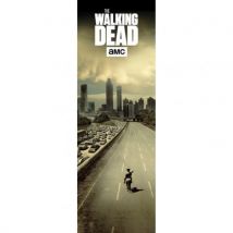 Poster The Walking Dead 247106