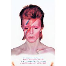 Poster David Bowie 248313