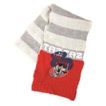 Écharpe Looney Tunes 249444