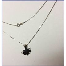 Collier Sampdoria 251385