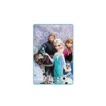 Plaid Frozen 252305