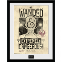 Cadre Fantastic beasts 252604