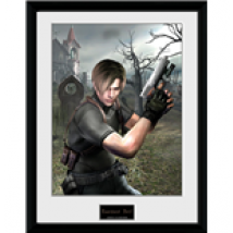 Cadre Resident Evil  252653