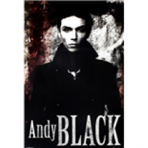 Poster Andy Black 253152
