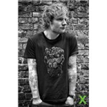 Poster Ed Sheeran 253262