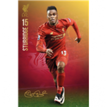 Liverpool - Sturridge 16/17 (Poster Maxi 61x91,5 Cm)