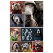 Dogs In Da Hood - Dogs (Poster Maxi 61x91,5 Cm)