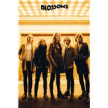 Poster Blossoms 254117