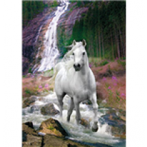 Poster Bob Langrish  254126