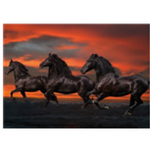 Poster Bob Langrish  254127