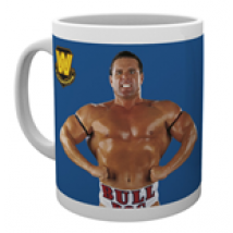 Tasse WWE  254308
