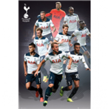 Tottenham Hotspur - Players 16/17 (Poster Maxi 61x91,5 Cm)