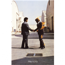 Poster Pink Floyd - Wish You Were Here - 61x91,5 Cm