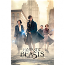 Fantastic Beasts - Street (Poster Maxi 61x91,5 Cm)